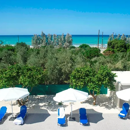Stunning New Beach Front Villa,1st Line To The Beach, Large Pool, Wonderful Area 빌라